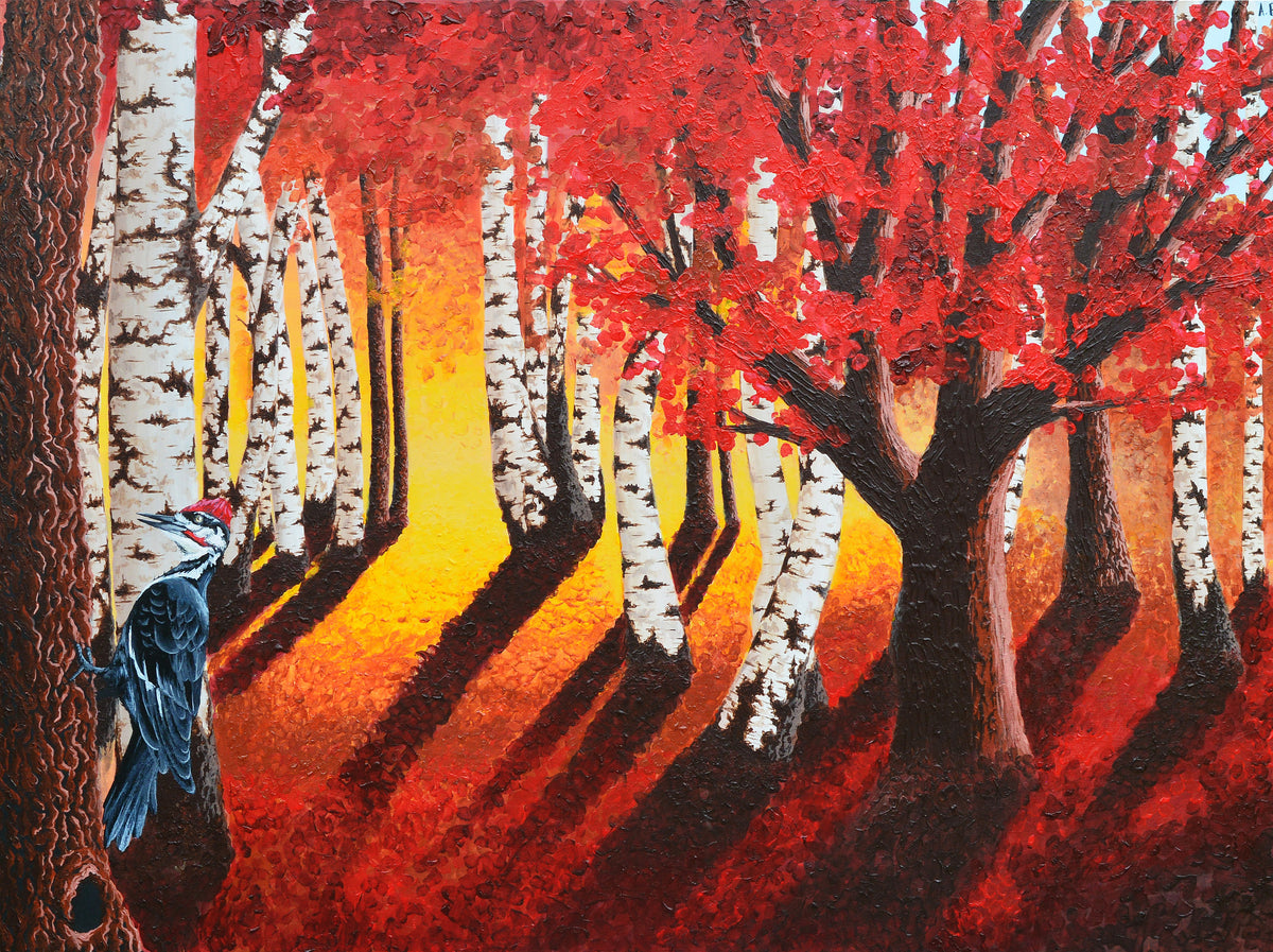 Autumn Scene