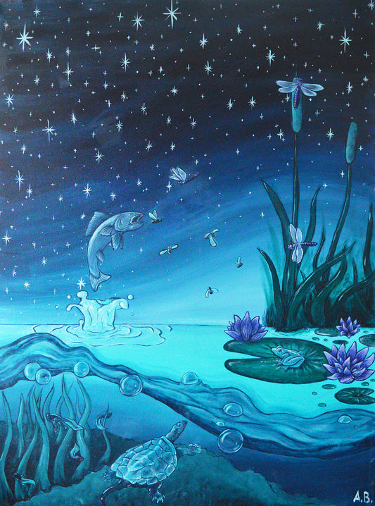 The Pond at Night